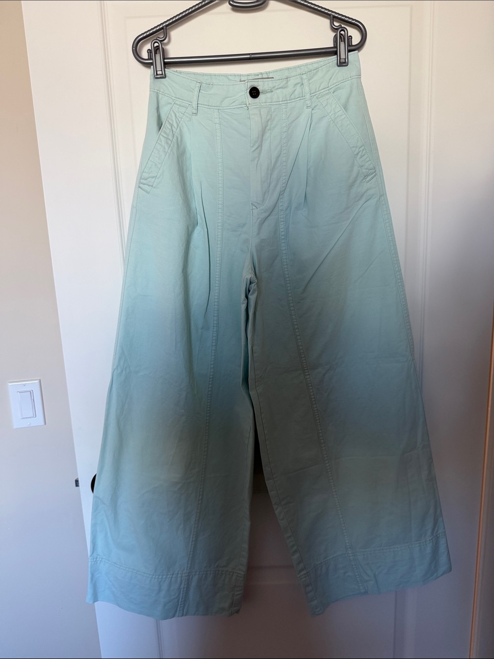 Everlane wide Leg Aqua Blue Pants